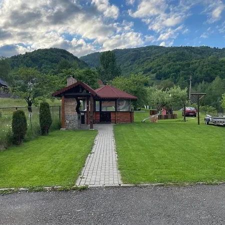 Pensiunea Denisa Stoian Guest house *