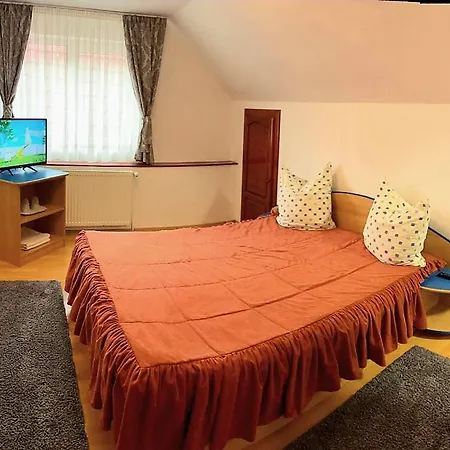Guest house Pensiunea Denisa Stoian *