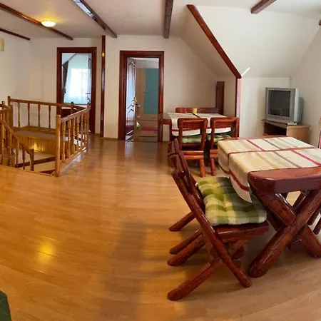 Pensiunea Denisa Stoian Guest house