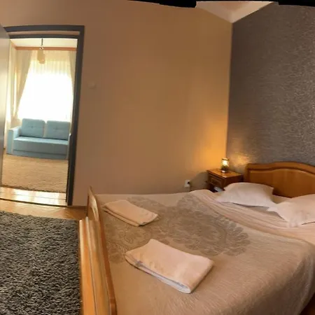 Guest house Pensiunea Denisa Stoian