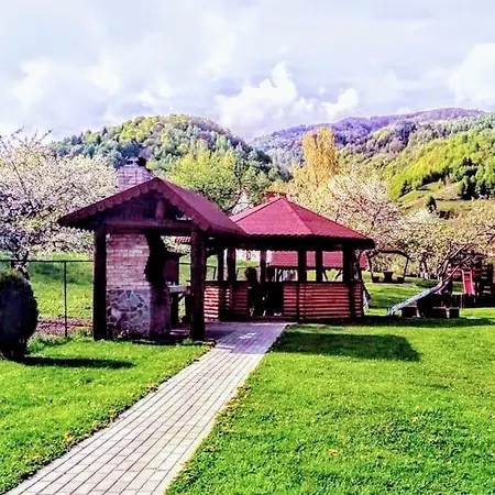 Pensiunea Denisa Stoian Guest house *